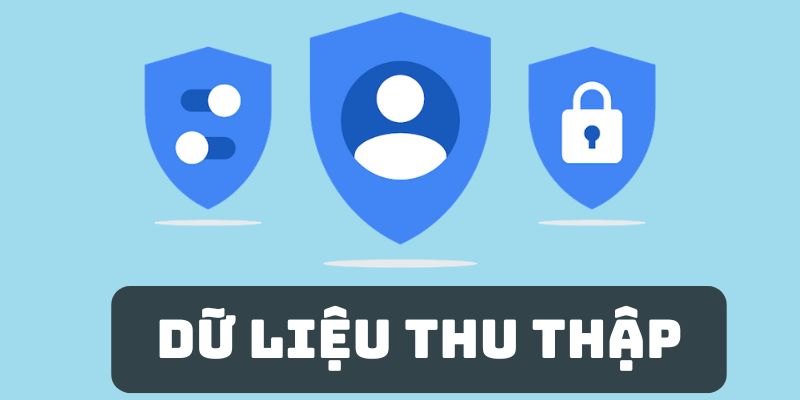 Loại dữ liệu được lưu trữ