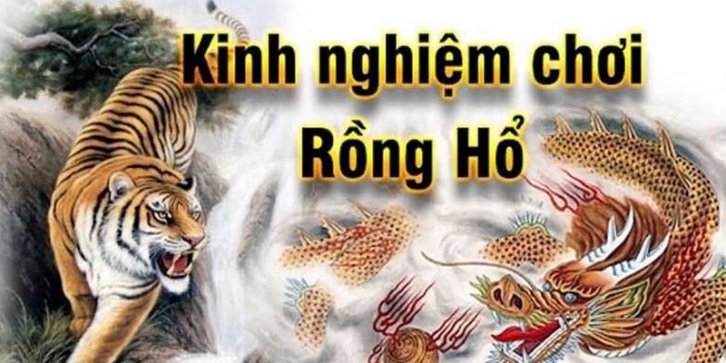 Tham khảo các bí quyết hay để đầu tư chắc thắng