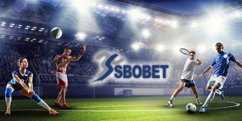 Sbobet 33WIN chinh phục trận đấu thể thao nóng bỏng